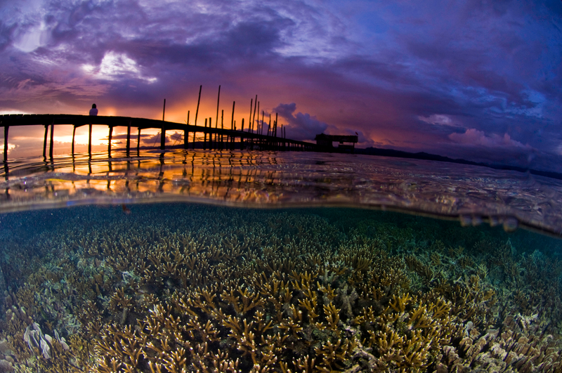 Sunset in Bird’s Head Peninsula. Image: Conservation International/Sterling Zumbrunn